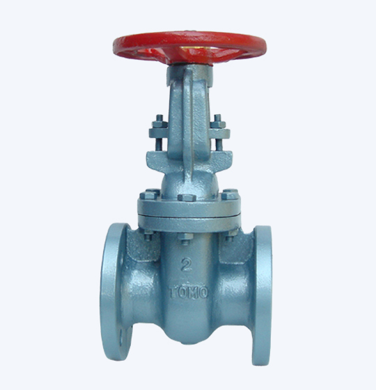 TOMO Gate Valve