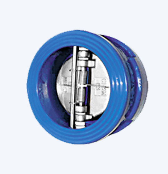 Double Door Swing Check Valve