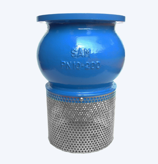 Foot Valve Spring Return Strainer Steel