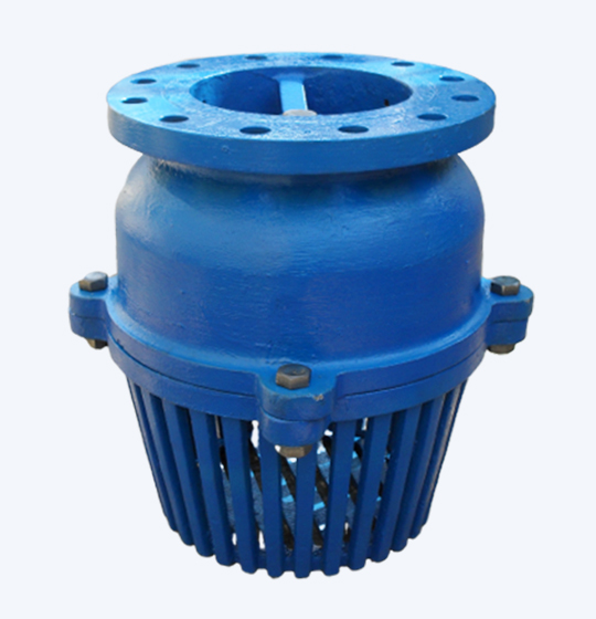 Foot Valve Spring Return 