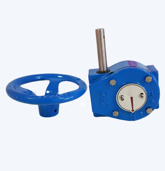 Worm Gear